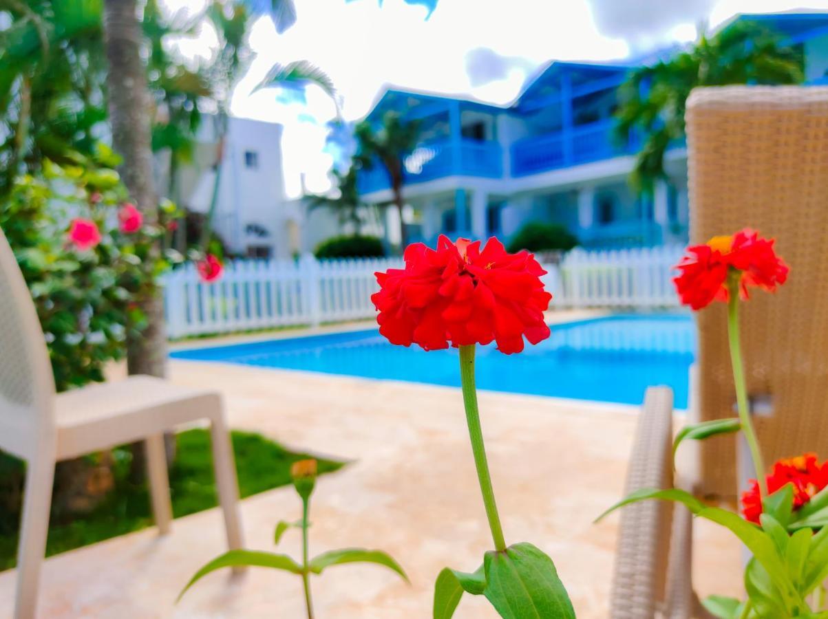 B&B Aparthotel La Isleta Las Galeras Eksteriør billede